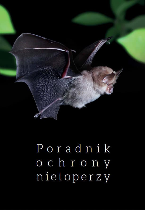Poradnik ochrony nietoperzy do pobrania