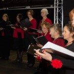 koncert allegrezza del canto