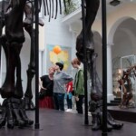 autyści w Muzeum Geologicznym