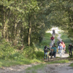 urokliwe polne drogi Zapilcza