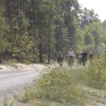 dorga przez Puszczę Stromiecką